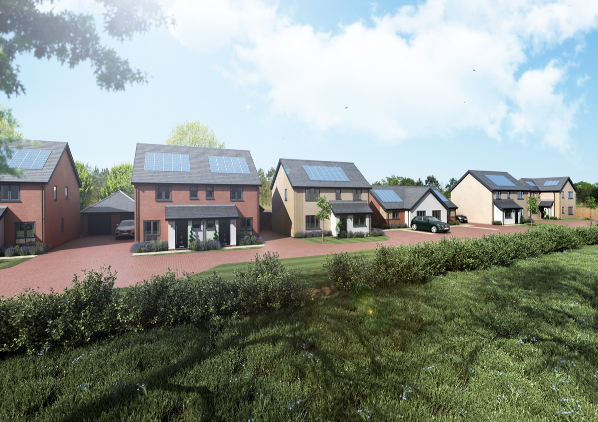 Woods Meadow Phase 6 gallery image 1